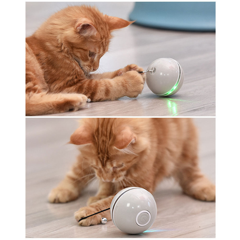 Electric LED Laser Cat Ball | Automatic Bouncing & Rolling Kitten Toy