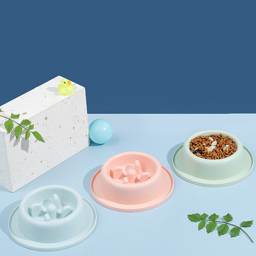 Anti-Choking Pet Slow Feeder Bowl | Food Apparatus for Healthy Digestion