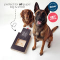 Pet's Nail Scratch Board